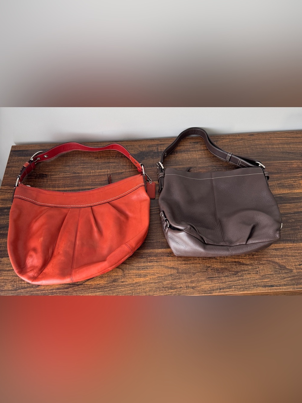 Coach Hobo bag Fall Bundle
